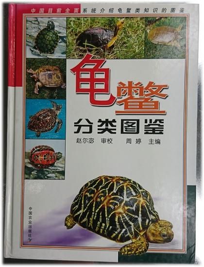 亀類分類図鑑 あなたとペットの健康食材 あなたとペットのお店 たっかめ