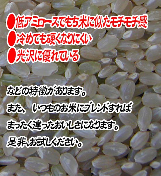 低アミローズ米にはもち米ににたモチモチ感があり、冷めても硬くなりにくく、光沢に優れています。