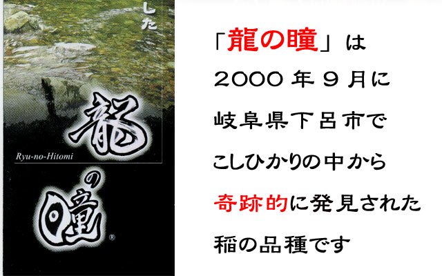 「龍の瞳」は2000年9月に岐阜県下呂市でこしひかりの中から奇跡的に発見されました。