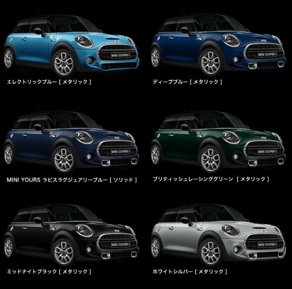 BMW MINI EX-FORMオリジナルペイント カラードフィラーフラップ F型