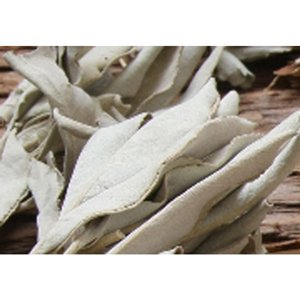 SANGA 自然香 NATURAL INCENSE WHITE SAGE（ホワイトセージ） - ilili イリリ