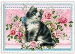 ɥ/ݥȥ/Cat/PK191