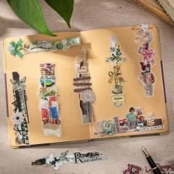 <img class='new_mark_img1' src='https://img.shop-pro.jp/img/new/icons14.gif' style='border:none;display:inline;margin:0px;padding:0px;width:auto;' />����Ū��ŷ/PageGallery/PET�����륻�å�