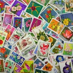 世界のお花の使用済み切手10枚