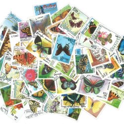 世界のバタフライの使用済み切手10枚