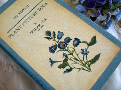 ティアラ　古い本の箱の商品写真10