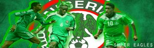 Nigeria National Football Team Nigeria National Soccer Team Football Shirt,Soccer Jersey