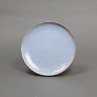 Irving Place Studio Dinner Plate #Robin's Egg