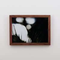 The film. by TAKASHI HAMADA. Photo Print with Wood Frame - Large #Spider