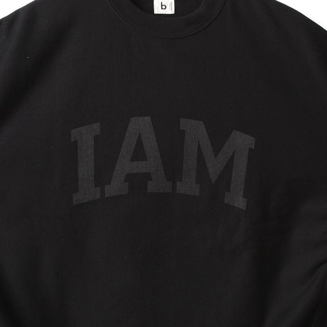 別注 】blurhms ROOTSTOCK『IAM-MI』PRINT Sweat Crew-neck P/O Big