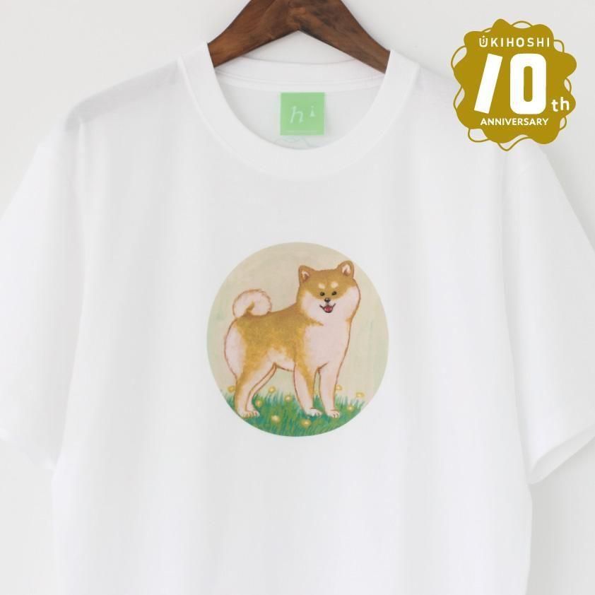 <img class='new_mark_img1' src='https://img.shop-pro.jp/img/new/icons5.gif' style='border:none;display:inline;margin:0px;padding:0px;width:auto;' />ͽڼƸȲ֡⤭10thTġ⤭դ