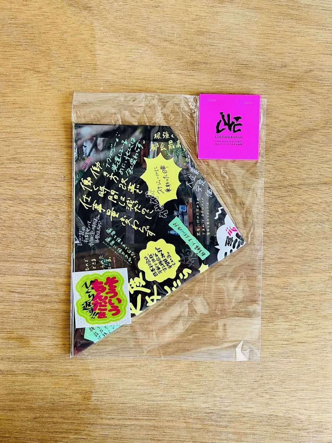 LIVE DESIGN School ZINE - hickory03travelers