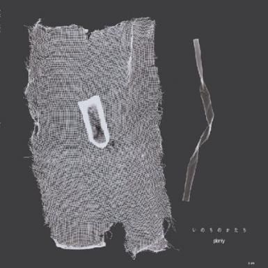『4年保証』 Shop Online - いのちのかたち(LP) plenty | ポエトリー sic shabby 邦楽