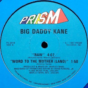 <img class='new_mark_img1' src='https://img.shop-pro.jp/img/new/icons20.gif' style='border:none;display:inline;margin:0px;padding:0px;width:auto;' />BIG DADDY KANE - RAW / WORD TO THE MOTHER (12) (VG/VG)