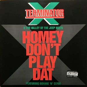 TERMINATOR X - HOMEY DON'T PLAY DAT (12) (EX/EX)