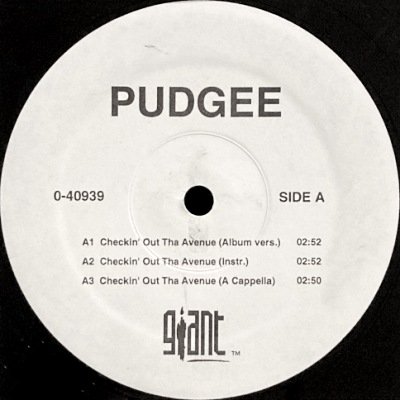 PUDGEE THA PHAT BASTARD - CHECKIN' OUT THE AVE. (12) (PROMO) (VG)