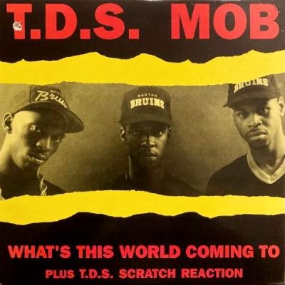 T.D.S. MOB - WHAT'S THIS WORLD COMING TO (12) (EX/VG+)
