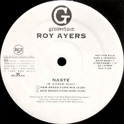 ROY AYERS - NASTE (12) (PROMO) (EX/VG+)