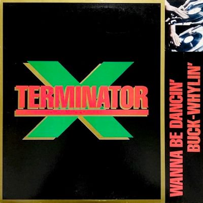 TERMINATOR X & THE VALLEY OF THE JEEP BEATS - WANNA BE DANCIN' (12) (VG+/VG+)