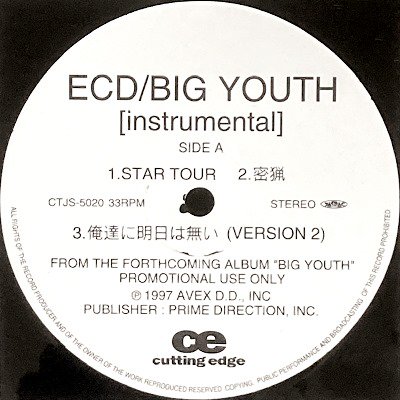 <img class='new_mark_img1' src='https://img.shop-pro.jp/img/new/icons5.gif' style='border:none;display:inline;margin:0px;padding:0px;width:auto;' />ECD - BIG YOUTH (INSTRUMENTALS) (LP) (PROMO) (VG)
