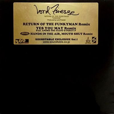 <img class='new_mark_img1' src='https://img.shop-pro.jp/img/new/icons5.gif' style='border:none;display:inline;margin:0px;padding:0px;width:auto;' />LORD FINESSE - RETURN OF THE FUNKYMAN 