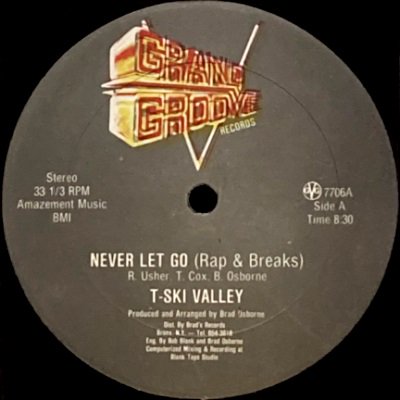 T SKI VALLEY / GRAND GROOVE BUNCH - NEVER LET GO (12) (VG+)