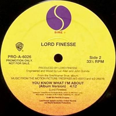 AMG / LORD FINESSE - DON'T BE A 304 / YOU KNOW WHAT I'M ABOUT (12) (EX)