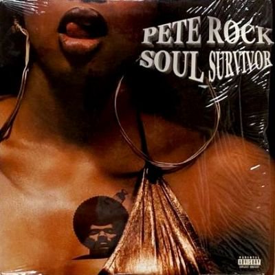 PETE ROCK - SOUL SURVIVOR (LP) (EX/EX)