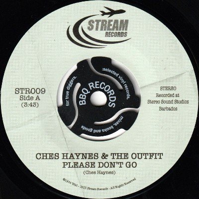 CHES HAYNES - PLEASE DON'T GO (7) (RE) (NEW)