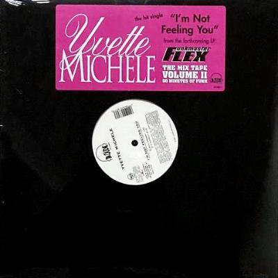 YVETTE MICHELE - I'M NOT FEELING YOU (12) (SEALED)