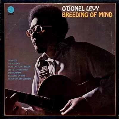 O'DONEL LEVY - BREEDING OF MIND (LP) (VG+/VG)