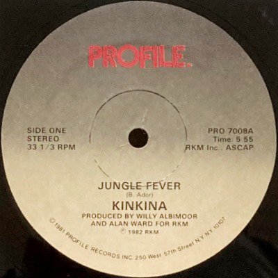 <img class='new_mark_img1' src='https://img.shop-pro.jp/img/new/icons5.gif' style='border:none;display:inline;margin:0px;padding:0px;width:auto;' />KINKINA - JUNGLE FEVER (12) (VG+/VG+)