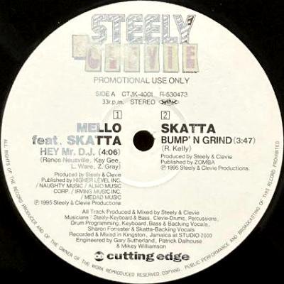 MELLO feat. SKATTA / SKATTA - HEY Mr.DJ / BUMP'N GRIND (12) (VG)