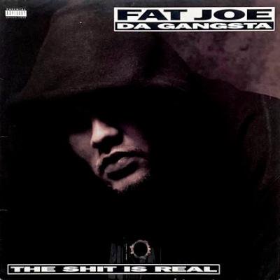 <img class='new_mark_img1' src='https://img.shop-pro.jp/img/new/icons5.gif' style='border:none;display:inline;margin:0px;padding:0px;width:auto;' />FAT JOE - THE SHIT IS REAL (12) (VG/VG+)