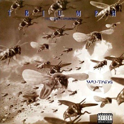 WU-TANG CLAN feat. CAPPADONNA - TRIUMPH (12) (VG+/VG+)