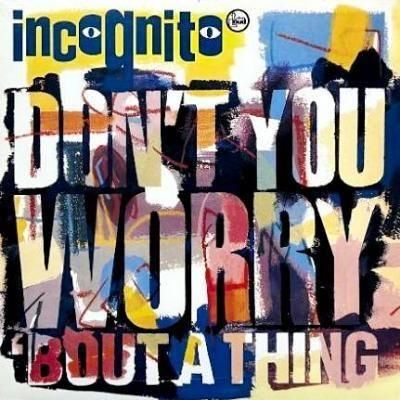 <img class='new_mark_img1' src='https://img.shop-pro.jp/img/new/icons5.gif' style='border:none;display:inline;margin:0px;padding:0px;width:auto;' />INCOGNITO - DON'T YOU WORRY 'BOUT A THING (12) (RE) (VG+/VG+)