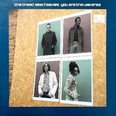 THE BRAND NEW HEAVIES - YOU ARE THE UNIVERSE (12) (EX/EX)