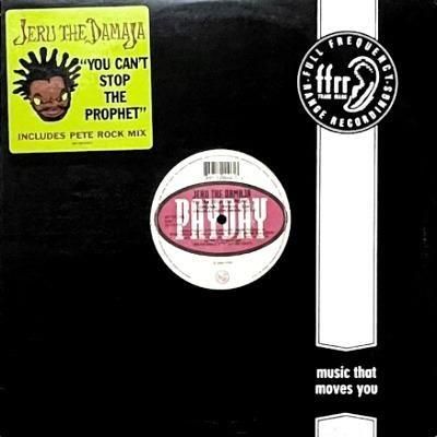 <img class='new_mark_img1' src='https://img.shop-pro.jp/img/new/icons5.gif' style='border:none;display:inline;margin:0px;padding:0px;width:auto;' />JERU THE DAMAJA - YOU CAN'T STOP THE PROPHET (12) (VG/VG+)