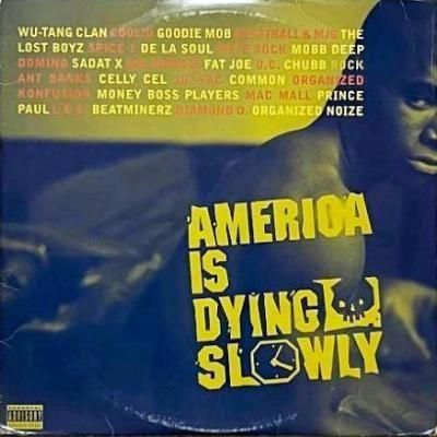 <img class='new_mark_img1' src='https://img.shop-pro.jp/img/new/icons5.gif' style='border:none;display:inline;margin:0px;padding:0px;width:auto;' />V.A. - AMERICA IS DYING SLOWLY (LP) (VG/VG)