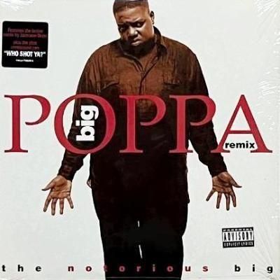 <img class='new_mark_img1' src='https://img.shop-pro.jp/img/new/icons5.gif' style='border:none;display:inline;margin:0px;padding:0px;width:auto;' />THE NOTORIOUS B.I.G. - BIG POPPA (REMIX) (12) (EX/EX)