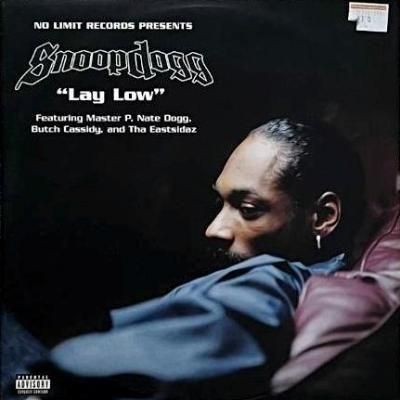 <img class='new_mark_img1' src='https://img.shop-pro.jp/img/new/icons5.gif' style='border:none;display:inline;margin:0px;padding:0px;width:auto;' />SNOOP DOGG - LAY LOW (12) (UK) (EX/VG+)