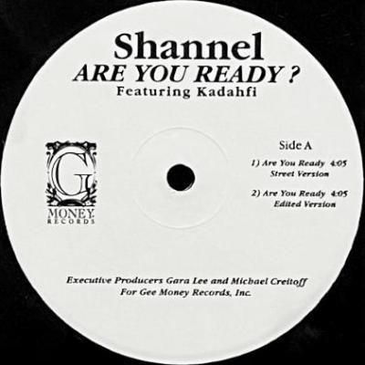 <img class='new_mark_img1' src='https://img.shop-pro.jp/img/new/icons5.gif' style='border:none;display:inline;margin:0px;padding:0px;width:auto;' />SHANNEL feat. KADAHFI - ARE YOU READY ? (12) (VG+)