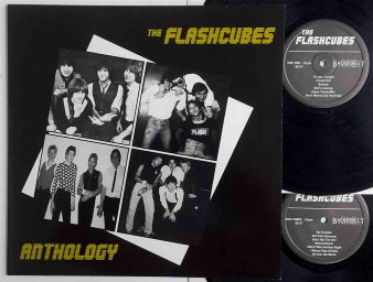 THE FLASHCUBES - Anthology (USED 2LP) - NAT RECORDS