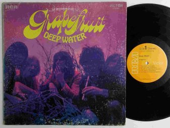 GRAPEFRUIT - Deep Water (USED LP) - NAT RECORDS