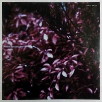 THE DOLPHIN BROTHERS - Catch The Fall : Japanese (USED LP