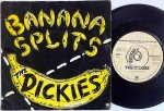 The Dickies (Band) - NAT RECORDS