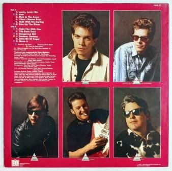 LEROI BROTHERS - Protection From Enemies (USED LP) - NAT RECORDS