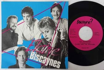 ELAINE AND THE BISCAYNES - Hold On (DEADSTOCK 7