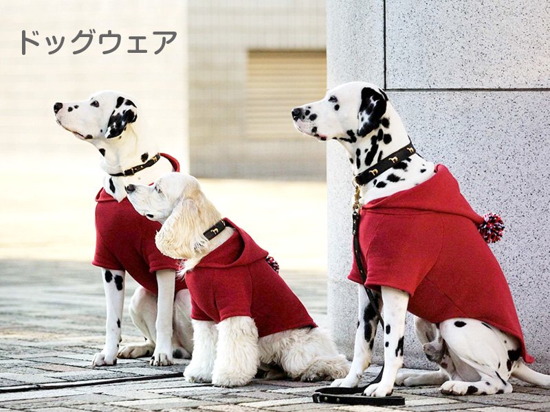 中・大型犬向けペット輸入雑貨ショップ「 ノアール・エ・ブラン」