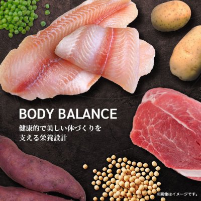 愛犬の美しいフィジカルを育むドッグフード BODY BALANCE（ボディバランス）4kg